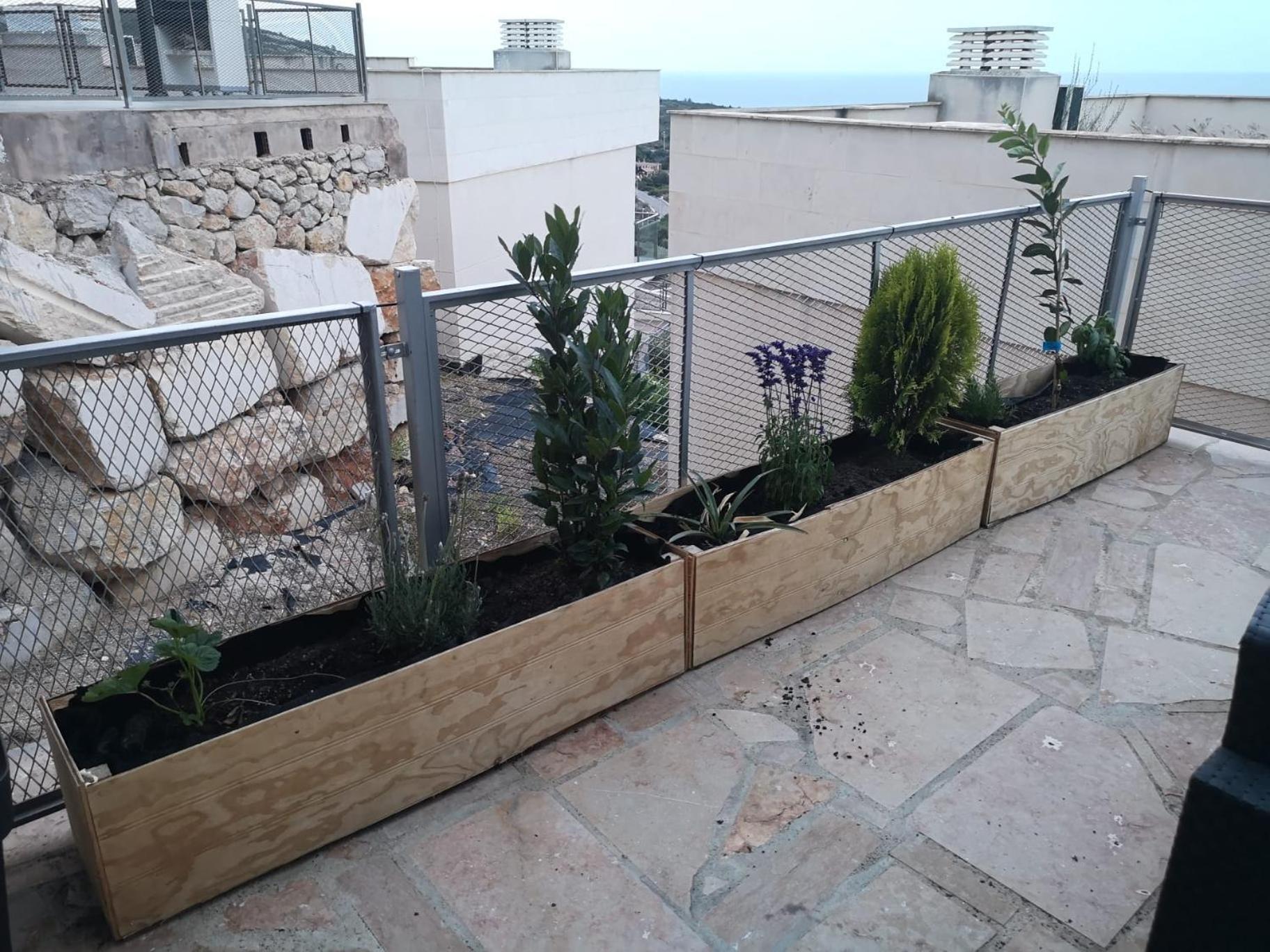 Ferienwohnung La Casa Del Mirlo Azul - Peñíscola Exterior foto